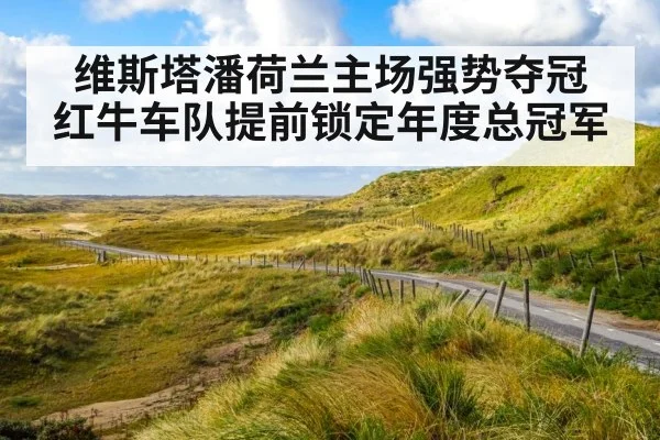 维斯塔潘荷兰主场强势夺冠 红牛车队提前锁定年度总冠军