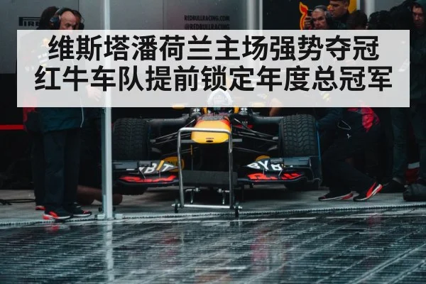 Red Bull Racing pit stop