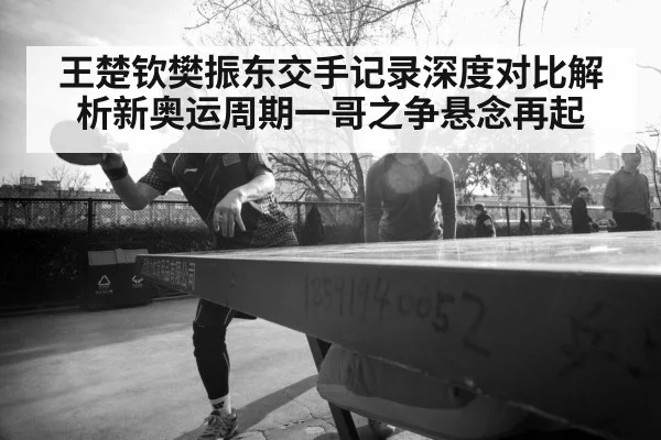 王楚钦樊振东交手记录深度对比解析新奥运周期一哥之争悬念再起