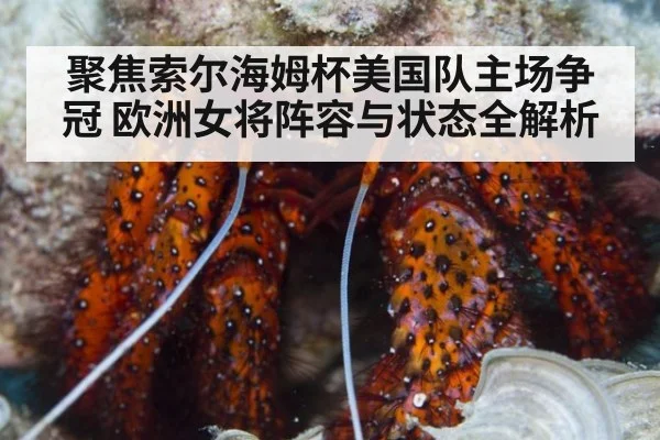 聚焦索尔海姆杯美国队主场争冠 欧洲女将阵容与状态全解析